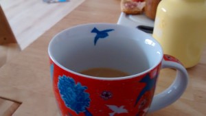 IMG_20150711_095839364