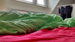 IMG_20150711_151317977_HDR